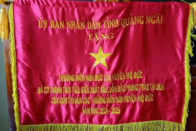 Tự hào đạt thành tích trong năm học 2024-2025